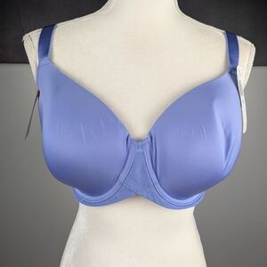 Felina Periwinkle Bra